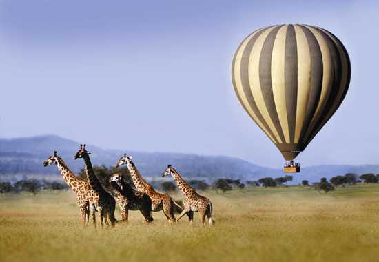 Serengeti hot air balloon flights