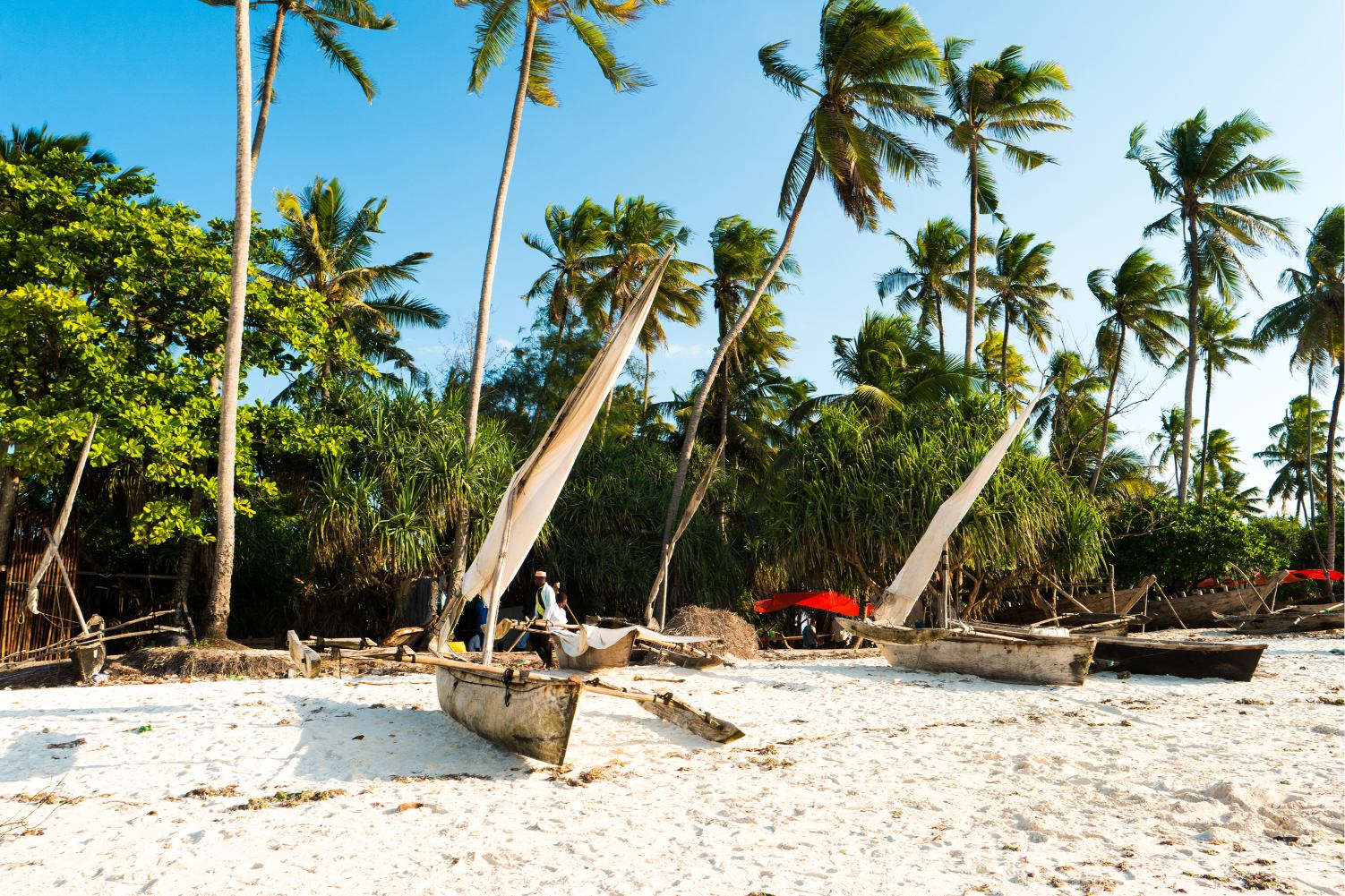 15 Days Northern Circuit Safari and Zanzibar