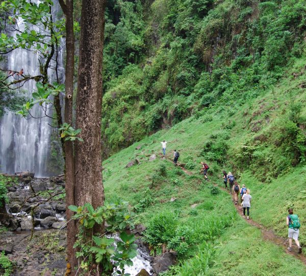 Materuni Waterfall & Chagga Coffee Day Trip