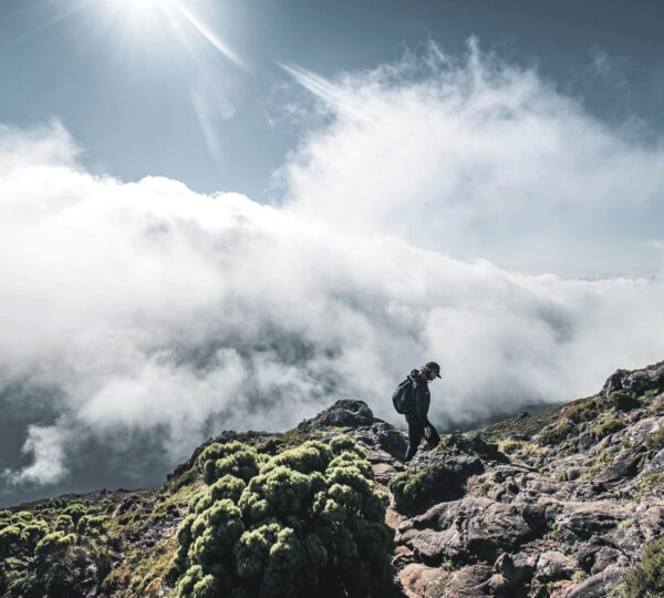 How to Prepare Physically for a Mount Kilimanjaro Climb