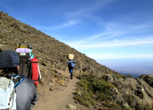 7 Days Lemosho Route Kilimanjaro Joining Group