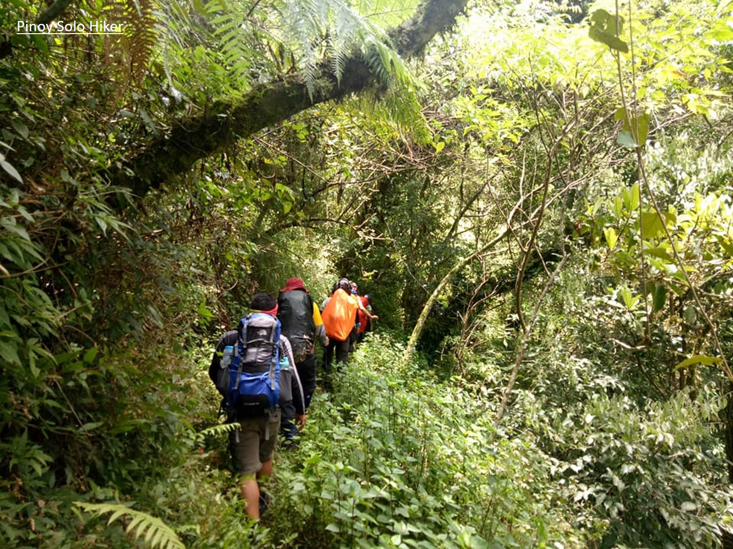 7 Days Mount Kilimanjaro Rongai route