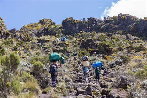 5 Day Marangu Route – Climb Mount Kilimanjaro with Hut Accommodation