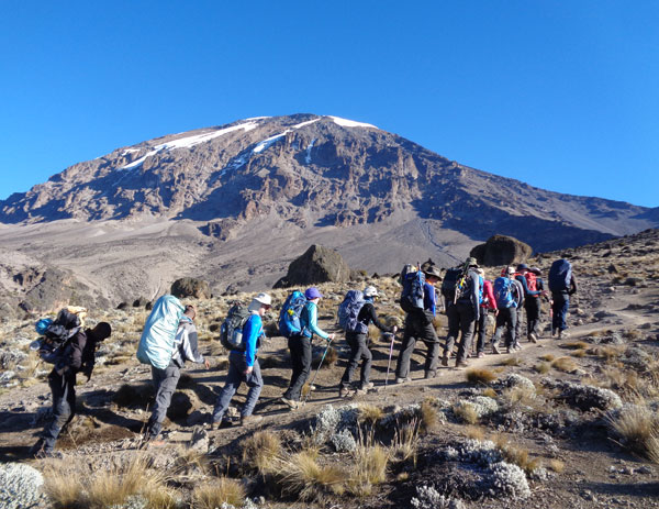 8 Day Lemosho Route – Best Route to Climb Mount Kilimanjaro