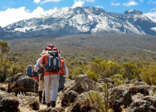 8 Days Lemosho Route Kilimanjaro Joining Group