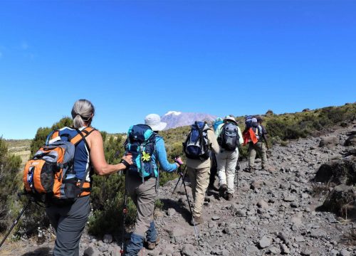 6 Days Machame Route Kilimanjaro Joining Group