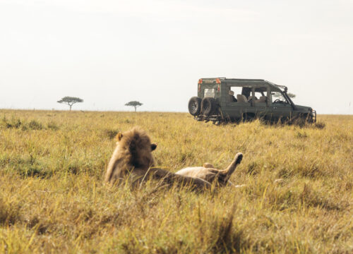 5 Days Tanzania Sharing Group Safari