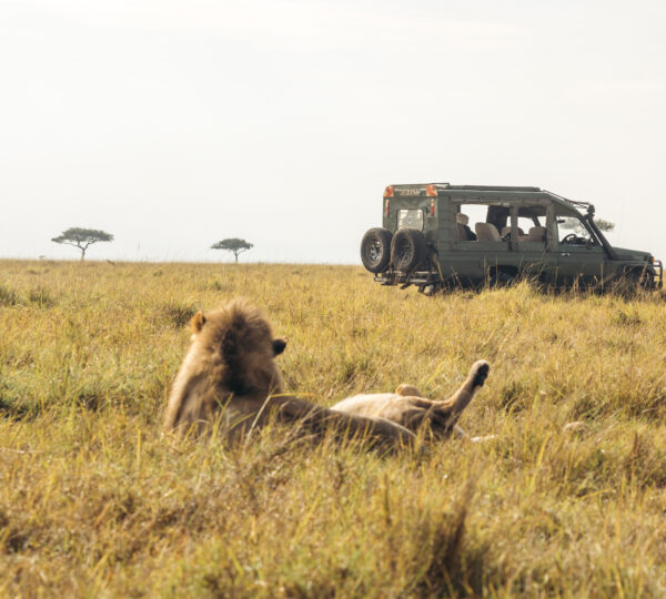 3 Days Tanzania Camping  Safari