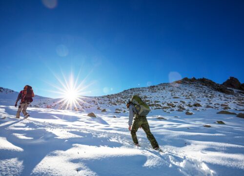 Lemosho vs Machame Route